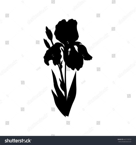 Isolated Iris Flower Silhouette Stock Vector 427170733 Shutterstock