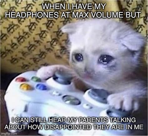 Image Tagged In Sad Gaming Cat Imgflip