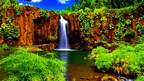 Download Nature Tropical Green Waterfall Hd Wallpaper
