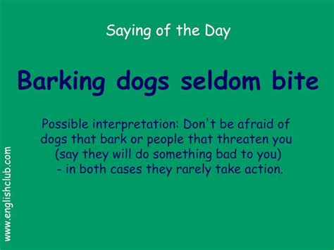 Barking Dogs Seldom Bite English Phrases Idioms English Vocabulary