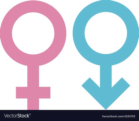 Gender Signs Royalty Free Vector Image Vectorstock
