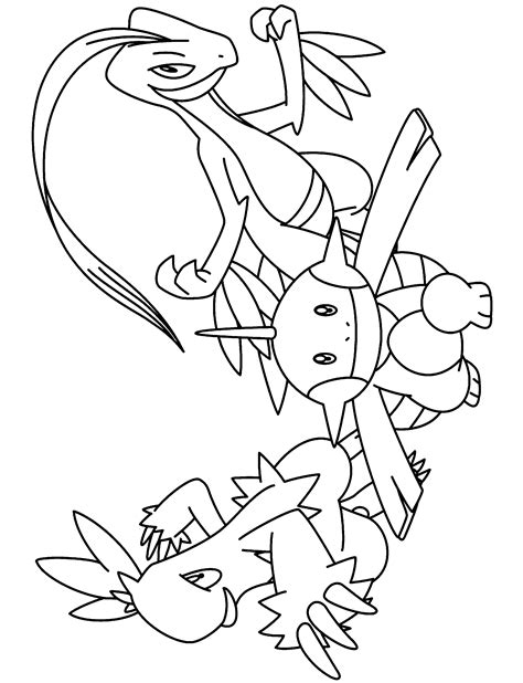 Coloring Page Pokemon Advanced Coloring Pages 257