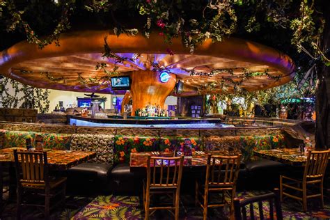 Rainforest Cafe Tx American Learning Alc
