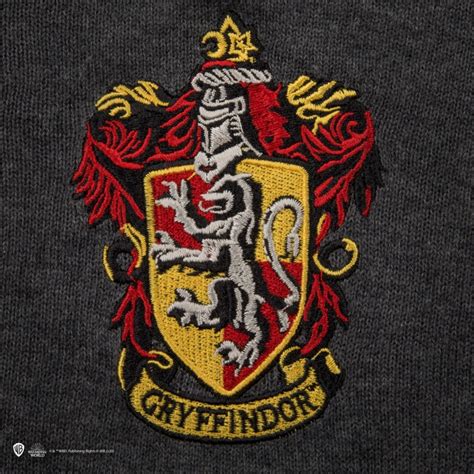 Comprar Jersey Harry Potter Icon Fanatic Tienda Online