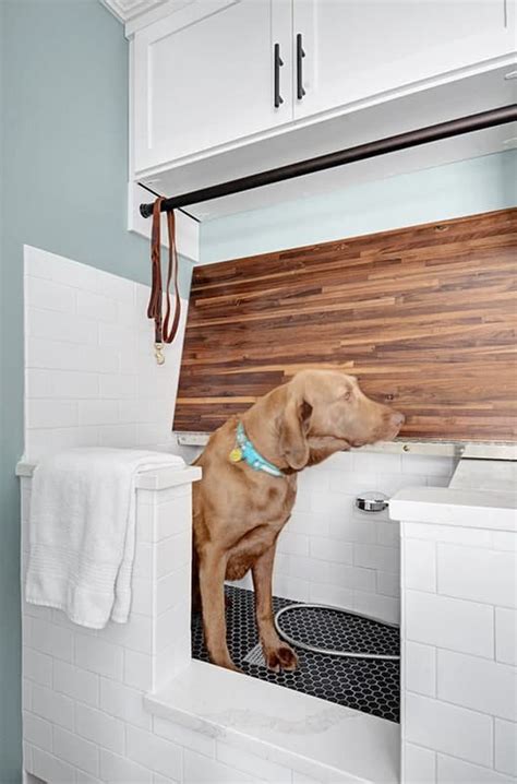 How To Add A Dog Washing Station To Your Home Closet Os