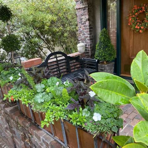 71 Container Garden Ideas For Every Setting In 2023