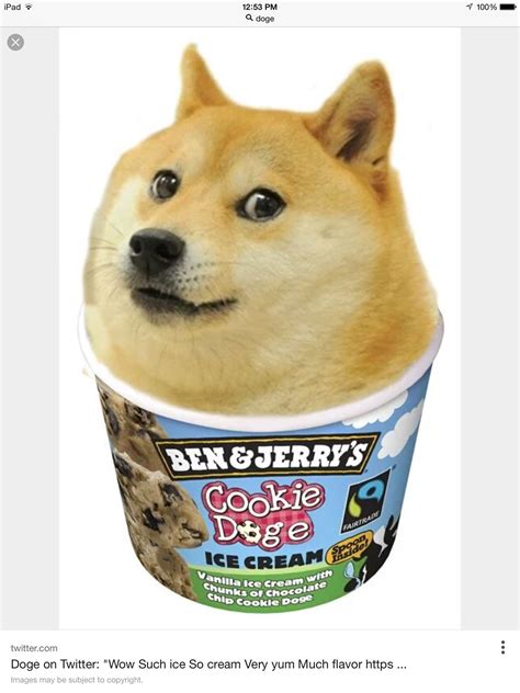 Such Cookie Doge Much Wow Doge Doge Meme Doge Dog