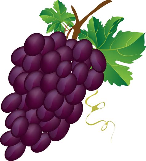 Free Grapes Clipart Download Free Grapes Clipart Png Images Free