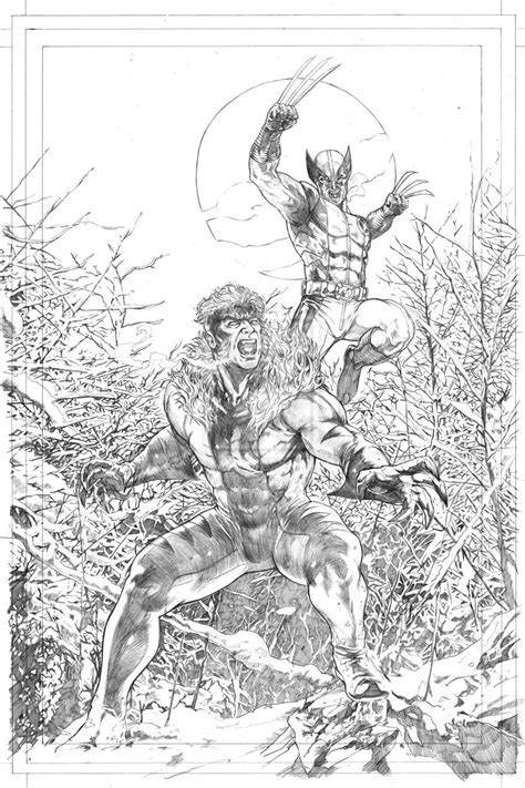 Wolverine Vs Sabretooth By Garrie Gastonny Comic Book