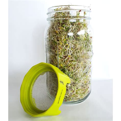Goodlife Sprouting Jar Kit 1l Chefs Complements