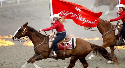 To make a general rush: Calgary Stampede 2020 - Blazing Saddle Western Display