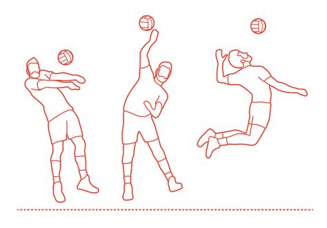 32 year old volleyball player #1. Ivan Zaytsev Dimensions & Drawings | Dimensions.com