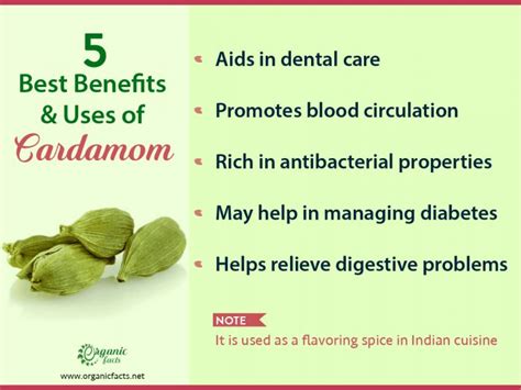11 Evidence Based Benefits Of Cardamom Organic Facts