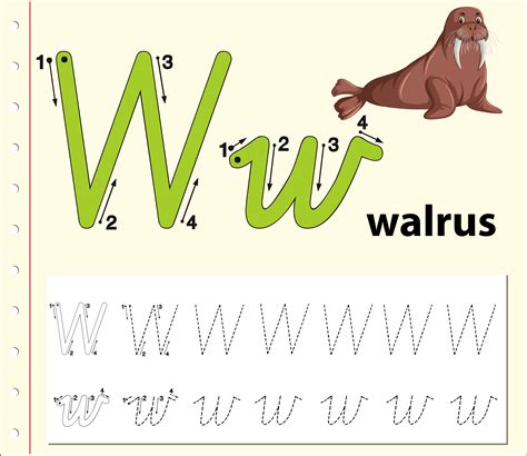Letter W Tracing Alphabet Worksheets 694371 Vector Art At Vecteezy