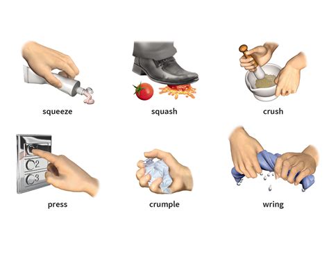 Wring Verb Definition Pictures Pronunciation And Usage Notes Oxford Advanced Learners