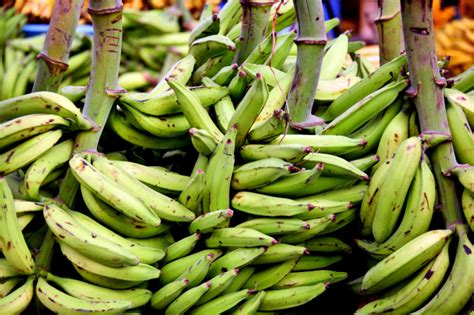 Which Banana Varieties Are Suitable For Banana Fritters Delishably