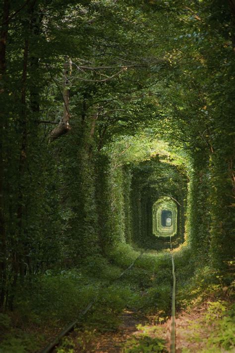 12 Most Dark And Mysterious Places On Earth Mysterious Places