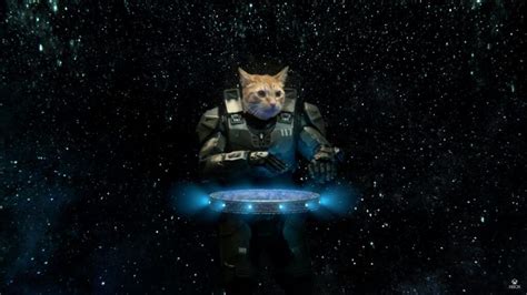 Watch Master Chief Dj As A Cat In Taika Waititis New Xbox Commercial