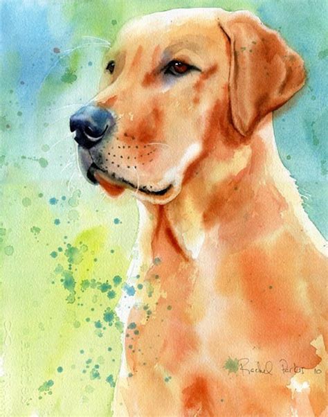 Yellow Labrador Retriever Dog Art Print Of My Watercolor Painting In