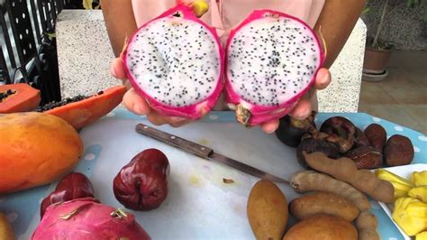 Strange and unusual fruit from around the world. Exotic fruits and how to eat them - YouTube