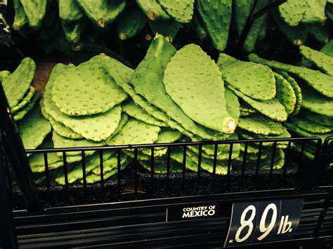 Learn more about prickly pear cactus uses, benefits, side effects, interactions, safety concerns, and effectiveness. Health Benefits of Eating Cactus Plant - My Pharmacy Visit