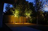 Photos of Landscape Lighting Examples
