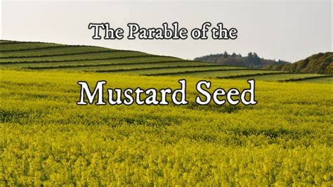 Parable Of The Mustard Seed Youtube