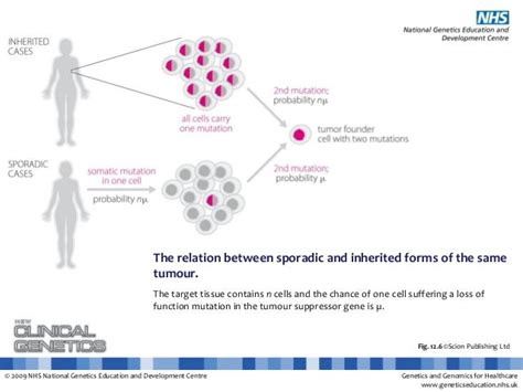Explanation Slides Somatic Mutations Cancer
