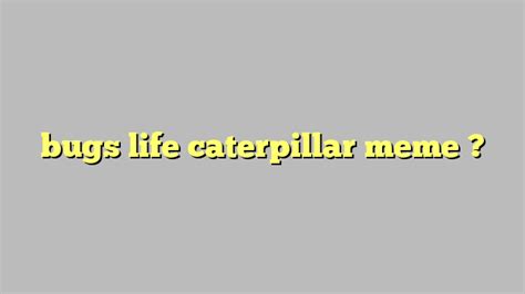 Bugs Life Caterpillar Meme Công Lý And Pháp Luật