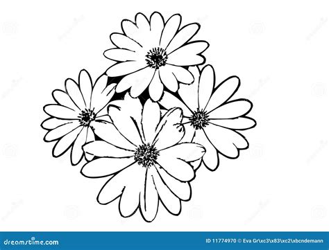 Black Flower Outline Stock Vector Illustration Of Black 11774970