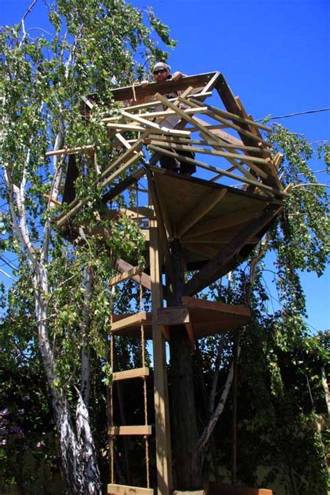 Treehouse is built upon the idea that all homes should be sustainable, beautiful, and healthy. Pin on O2 Treehouse