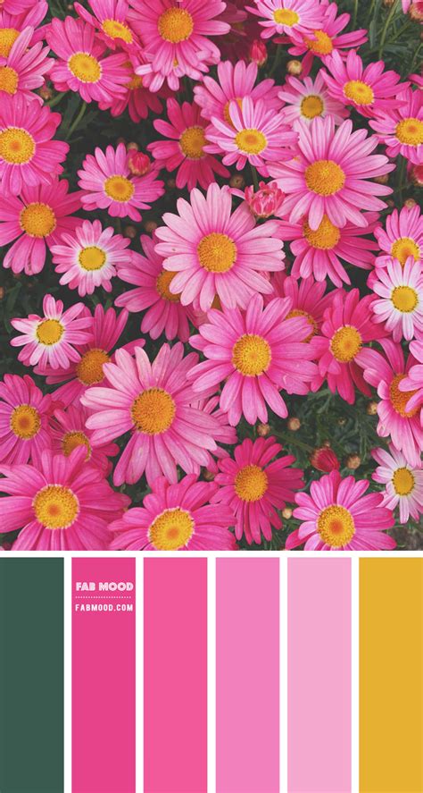 Mustard And Pink Colour Scheme Colour Palette 80 1 Fab Mood