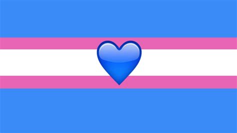 flag i saw in my dream it s trans flag redesign r queersomnivexilology