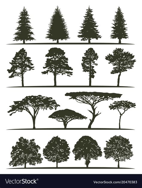 Set Of Trees Silhouettes Royalty Free Vector Image