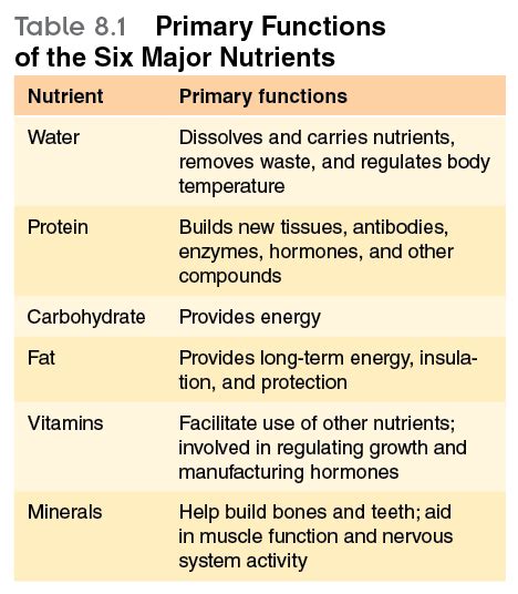 Types Of Food Groups And Their Nutrients You Can Also Get Them From The