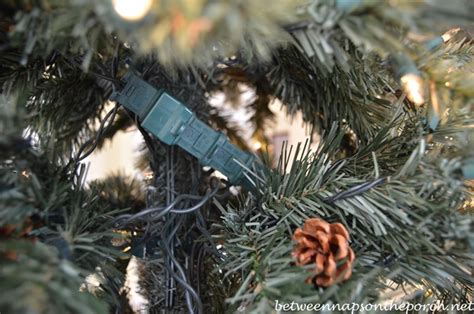 Cacti can be told apart from their spine patterns. How to Repair or Fix a Blown Fuse on Your Christmas Tree ...