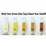 Heres What The Color Of Urine Says About Your Body  Filmymantra