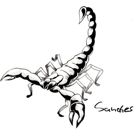 Scorpion By Mateussanchessouza On Deviantart Scorpion Tattoo