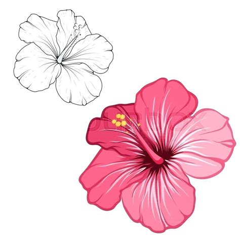 Lista 95 Imagen Hibiscus Flower Drawing Step By Step Actualizar