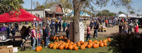 Fall Fest Deals Orchard