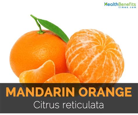 Mandarin Orange Facts Health Benefits And Nutritional Value Good Mood
