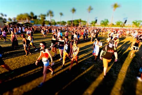 the top 5 music festivals for having sex according to a survey