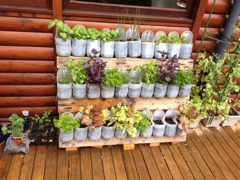 Recycled Vertical Herb Garden Using An Old Wooden Pallet And Milk