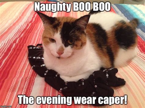 Naughty Boo Boo The Evening Wear Heist Imgflip