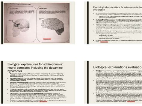 Aqa A Level Psychology Schizophrenia Notes Teaching Resources