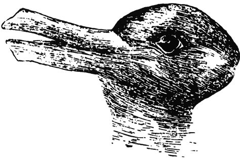 1 The Rabbit Duck Illusion Like This Image Research Findings Can
