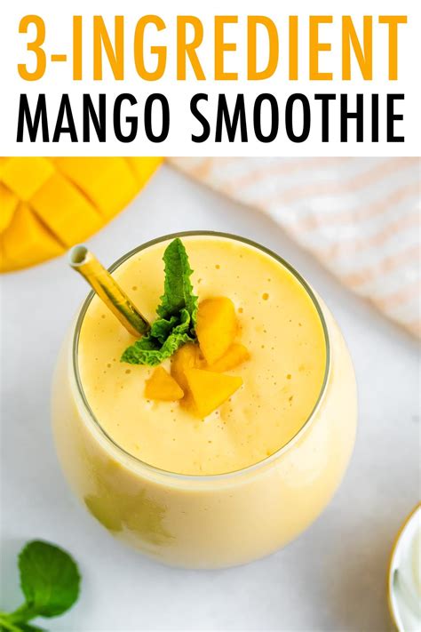 3 Ingredient Mango Smoothie Super Easy Eating Bird Food