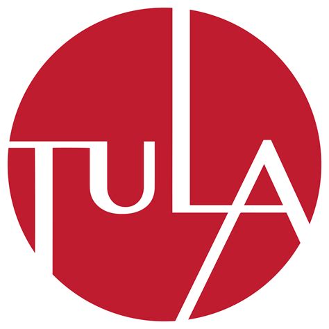 Why Tula Mic Is The Perfect Tool For Online Teachers