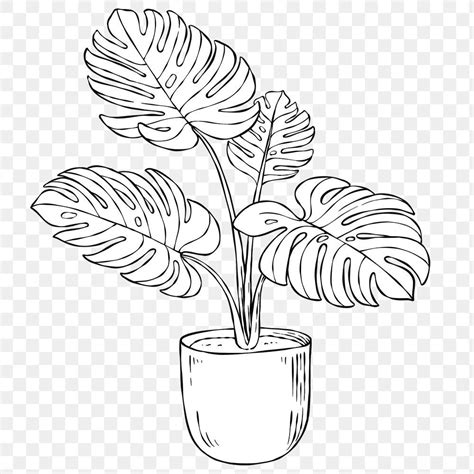 Plant Painting Plant Drawing Plant Art Flower Drawing Line Art
