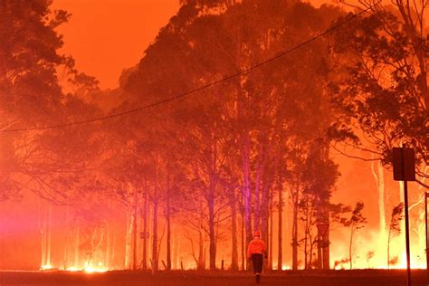 The Science Of Wildfires Rnz
